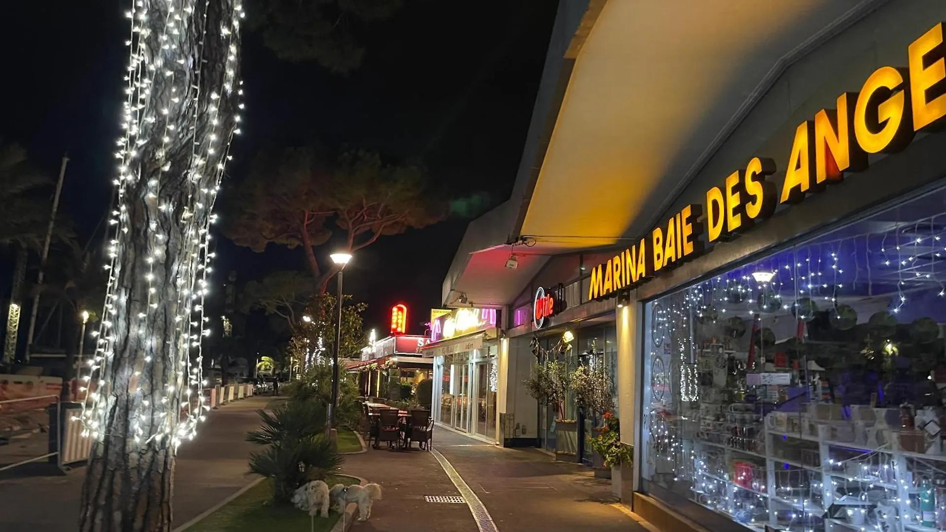 Studio A 2 Pas De La Plage Villeneuve-Loubet France