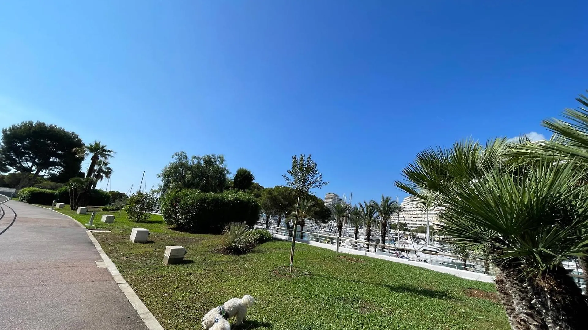 Appartement Studio A 2 Pas De La Plage Villeneuve-Loubet France